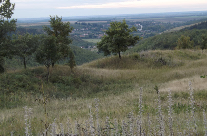 Örsúr Vára, Hungary